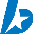 Bell Automotive Group